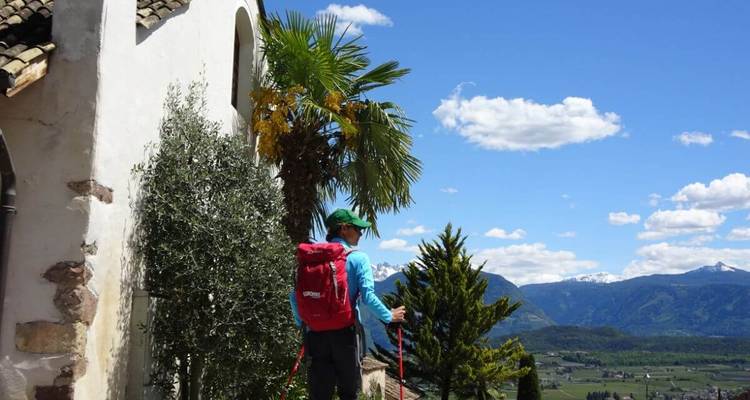 Hiker with trekking poles overlooking a valley and mountains.