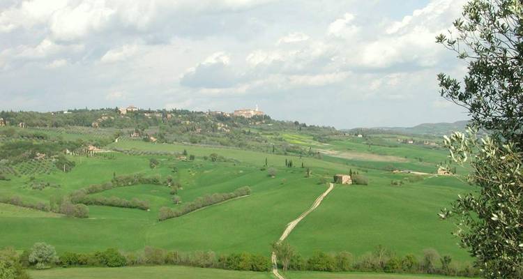 Panoramablick auf grüne Hügel und Ackerland.