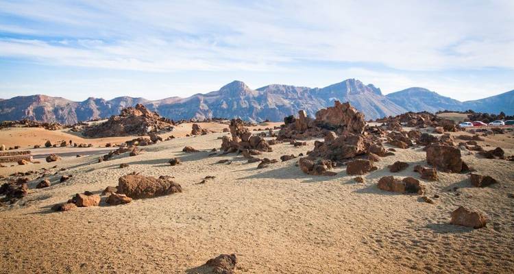 Paysage désertique avec des affleurements rocheux et des montagnes.