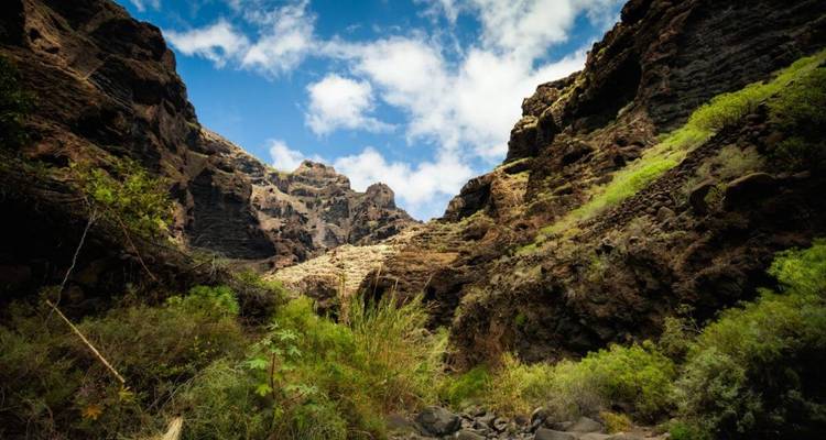 Vallée étroite entre des parois rocheuses abruptes avec végétation.