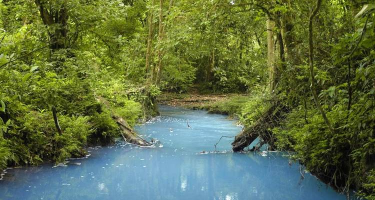 Ruisseau aux eaux d'un bleu saisissant contre la forêt verte.