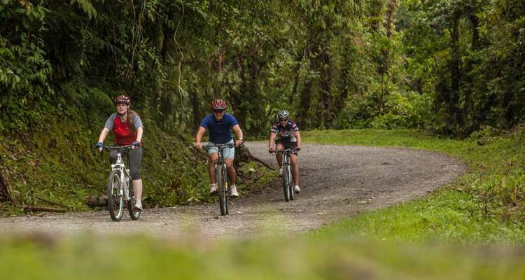 Trois personnes faisant du vélo sur un sentier forestier.