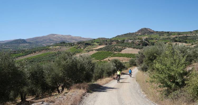 Deux cyclistes sur une route de terre entourée d'oliveraies et de collines.