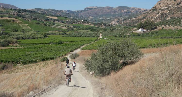 Cyclistes sur un chemin de terre dans une vallée avec des vignobles et des collines.