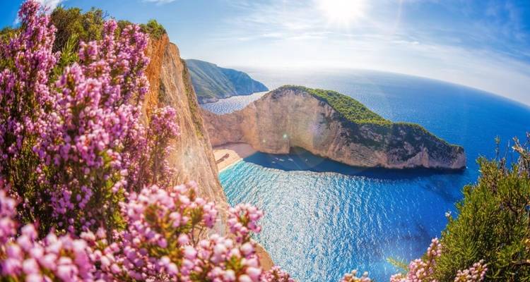 Vue panoramique des falaises et de l'océan avec des fleurs au premier plan.