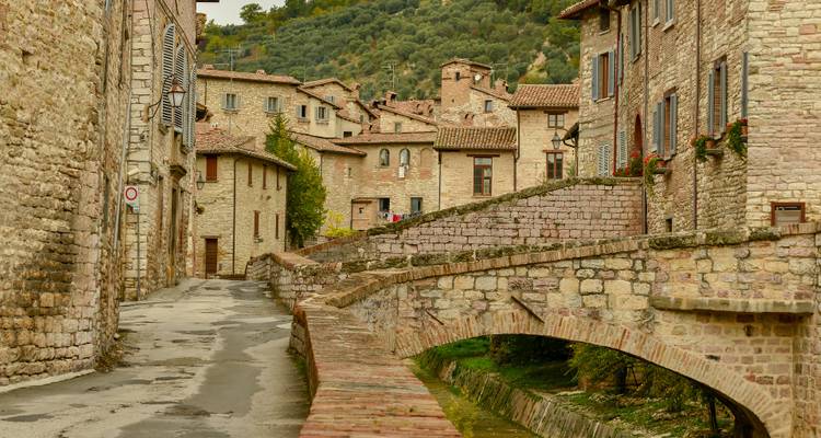 Charmant village ancien en pierre avec pont et arbres.