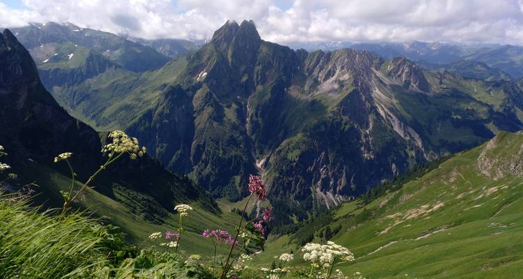 Berglandschaft mit Wildblumen und spektakulären Ausblicken.