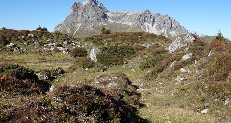 Felsiger Berg mit Gras und Sträuchern im Vordergrund.