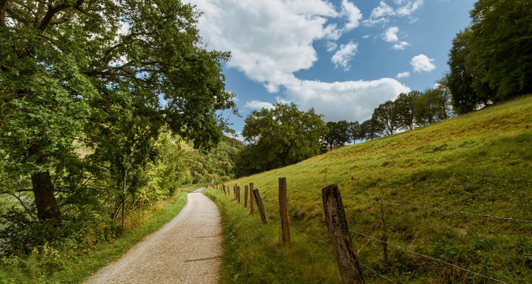 Weg durch eine grasige Landschaft unter einem bewölkten Himmel.