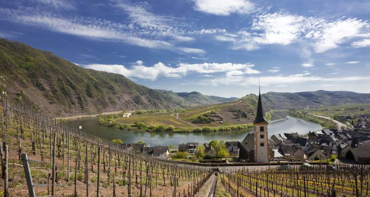 Panoramablick auf eine Flussbiegung mit Weinbergterrassen und einem Dorf.