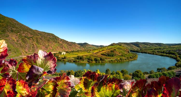 Malerische Flussbiegung mit bunten Herbstblättern im Vordergrund.