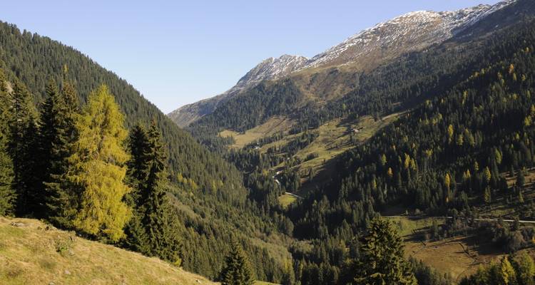 Breites alpines Tal mit dunklem Nadelwaldteppich, flankiert von steilen bewaldeten Hängen und fernen, schneebedeckten Gipfeln unter klarem blauem Himmel.