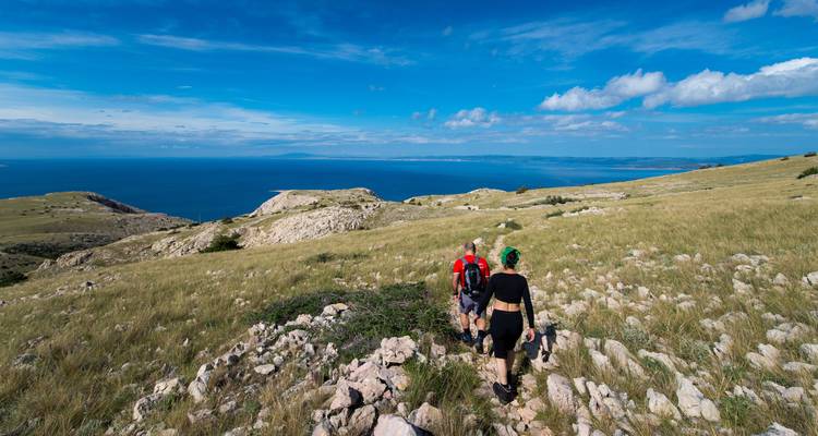 Grupo de excursionistas caminando por una colina cubierta de hierba con vista al océano.