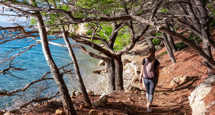 Un excursionista con mochila camina por un sendero costero sombreado por pinos junto a agua azul vívida.