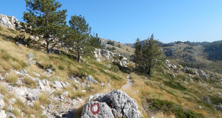 Sentier de randonnée à travers les montagnes rocheuses.