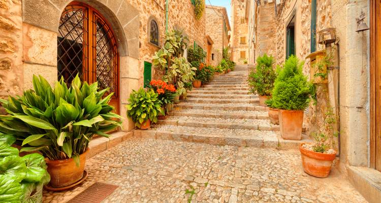 Stone stairway in a quaint town lined with plants.
