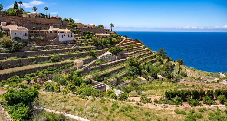Terraced landscape meeting the sea.