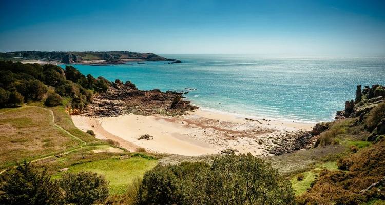 Plage rocheuse immaculée avec une végétation luxuriante et des eaux cristallines.