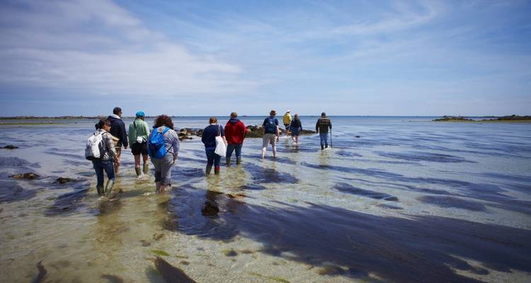Groupe de personnes marchant dans les eaux océaniques peu profondes.