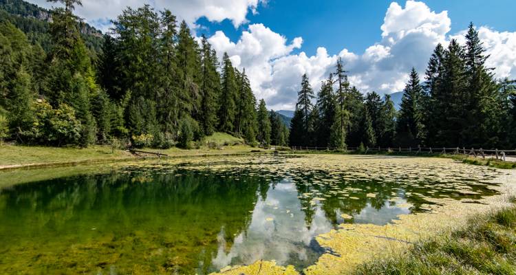 Vue panoramique d'un lac réfléchissant entouré d'arbres et de montagnes.
