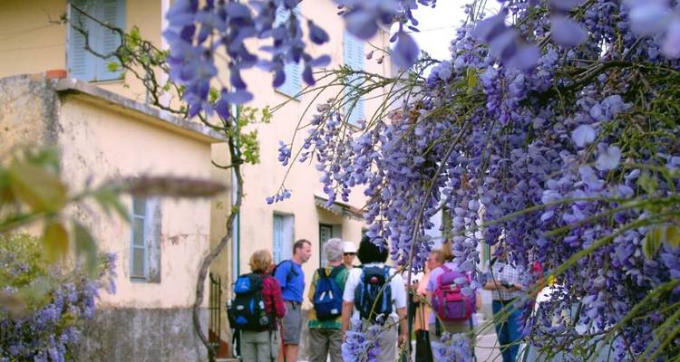Groupe de personnes sous des arbres à fleurs violettes dans un cadre de village.