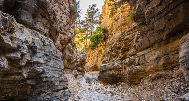 Une gorge rocheuse et étroite avec un peu de verdure et une lumière vive au-dessus.
