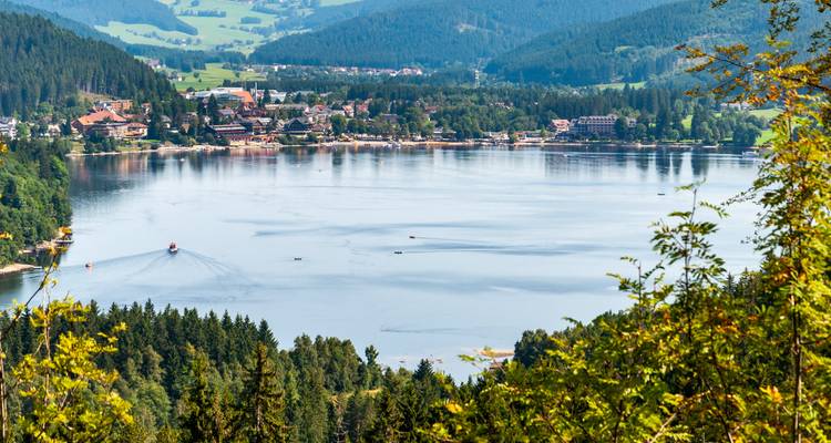 Una vista panorámica de un lago rodeado por un bosque frondoso y montañas distantes.