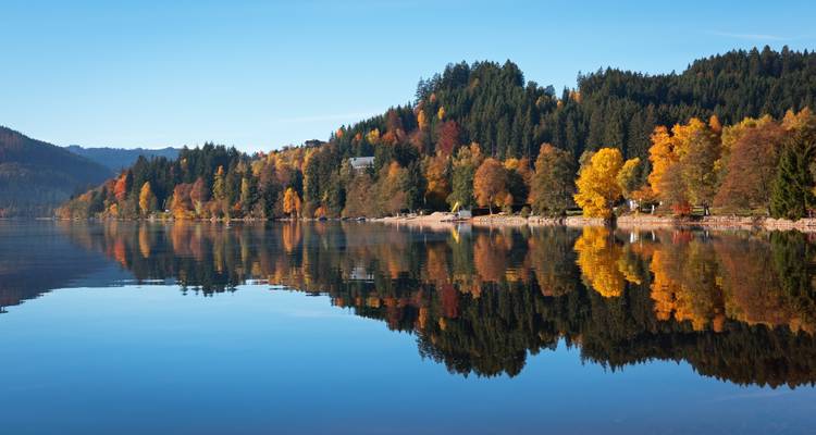 Lake surrounded by vibrant autumn trees with their reflection on the water.