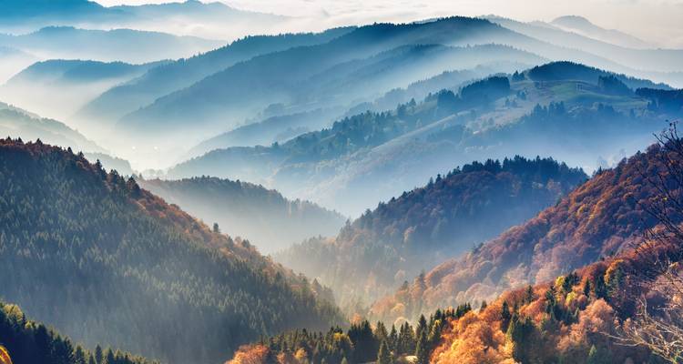 Views of mountain ranges with mist and autumn colors.