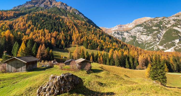 Forêt d'automne doré recouvrant les pentes montagneuses avec des cabanes en bois rustiques dispersées sur des clairières verdoyantes sous un ciel dégagé.