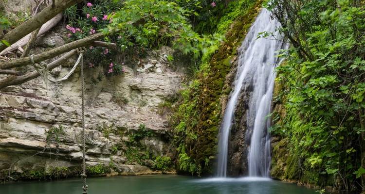Üppiger Waldwasserfall, der in einen ruhigen grünen Pool mit moosigen Felsen fällt.