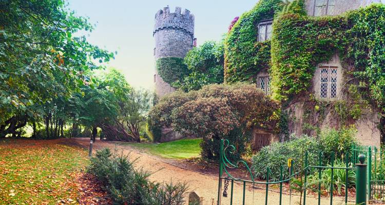 Tour en pierre et verdure dans un jardin tranquille.