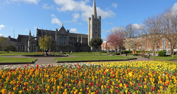 Colorful tulip garden with a cathedral in the background.