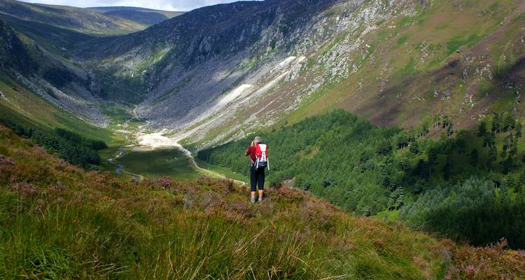 Randonneur profitant d'une vue panoramique sur les vallées et les forêts.