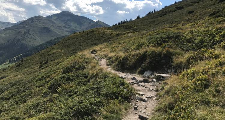 Bergpfad durch grüne Vegetation an einem sonnigen Tag.