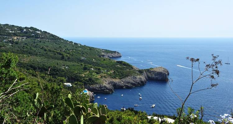 Küstenklippen mit dem Meer, das sich bis zum Horizont erstreckt.