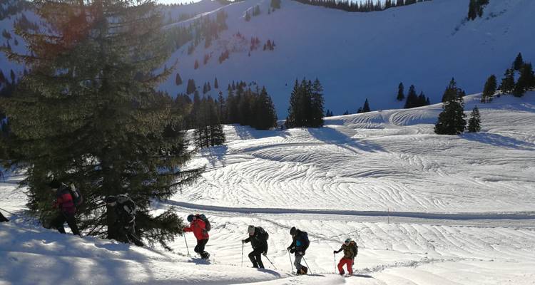 A group hiking up a snowy hill amongst trees with bright sunshine.
