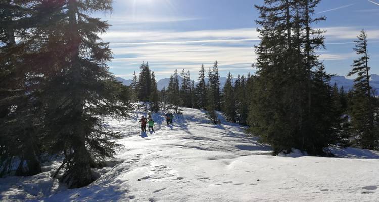 People hiking through a snowy forest with sunlight filtering through trees.
