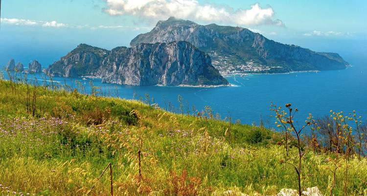 Vue d'île avec de l'herbe verte au premier plan and des falaises rocheuses.