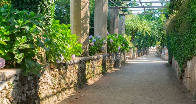 Allée bordée de verdure luxuriante et de fleurs, dans un jardin.