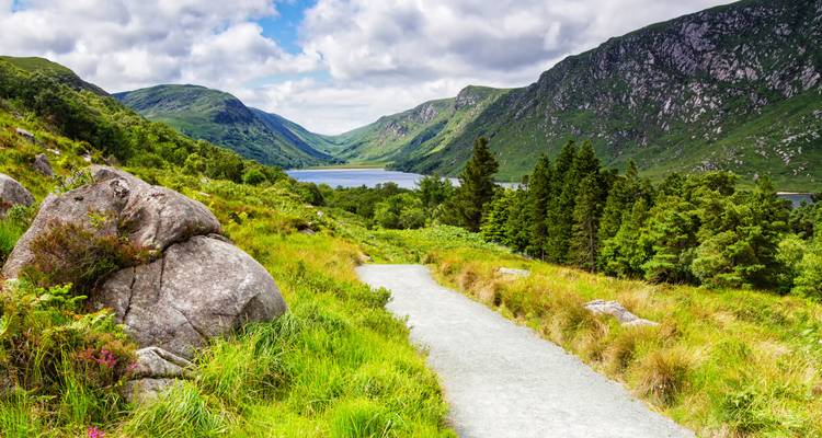 Pathway through lush green landscape leading to a serene lake.