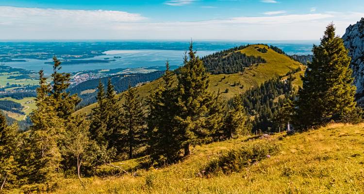 Sommet avec des arbres surplombant un lac et une ville au loin.
