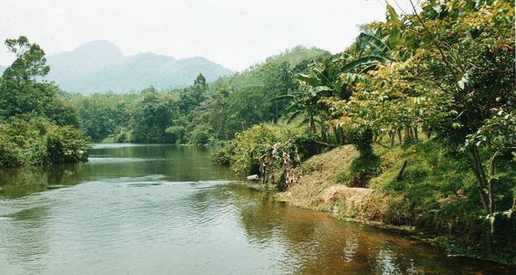 Rustige rivier die door dichte begroeiing met bergen stroomt.