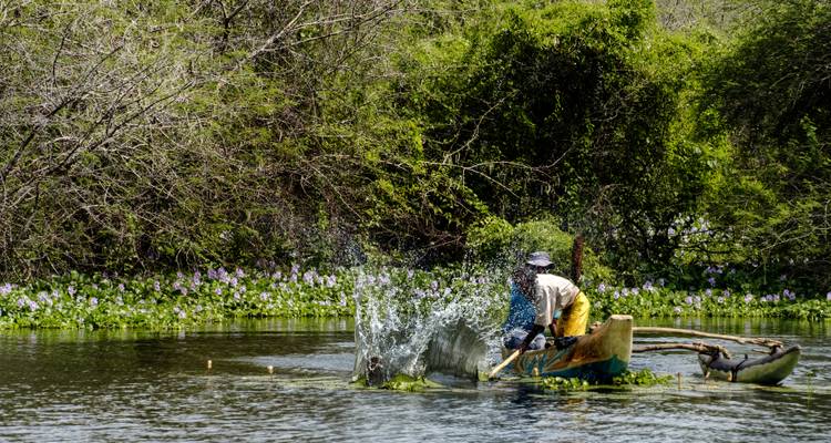 Man aan het vissen in een weelderige rivieromgeving.