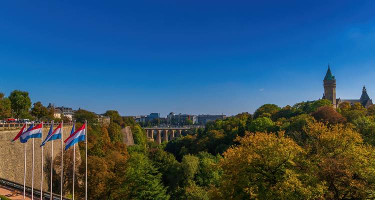 Luxemburger Stadtbild mit Flaggen und grünen Bäumen.