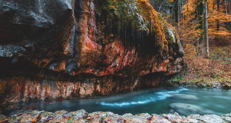Moosbewachsene Felsen und Wasserfall in einem üppigen Wald.