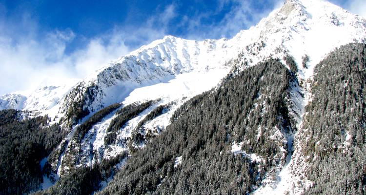 Schneebedeckter Berg mit einem baumreichen Tal.