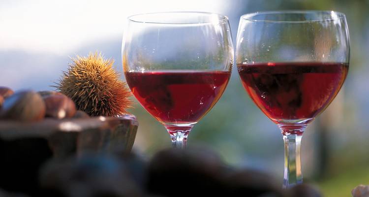 Two glasses of red wine on a table with a blurred natural background, accompanied by chestnuts and a chestnut burr.