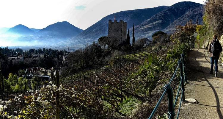Stone tower overlooking terraced vineyards and a walker on a scenic hillside path with mountain backdrop.
