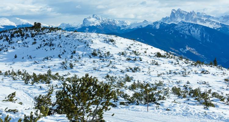 Campo nevado con vistas a la montaña.